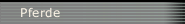 Pferde